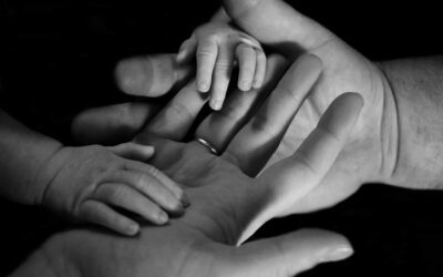 Protecting your family takes more than a safety check on your car!